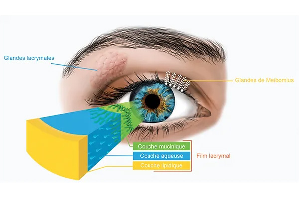 a quoi servent les larmes clinique de la vision montpellier chirurgien ophtalmologue montpellier